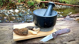 Morel Mushroom Forage & Cook | Shrooming 101