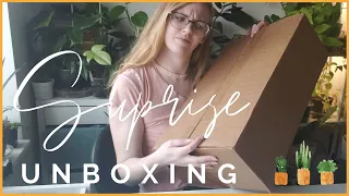 Unexpected Plant Mail!? Houseplant Box Unboxing