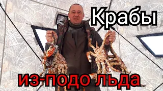 Крабы из подо-льда /Рыбалка Сахалин/ Королевский краб.