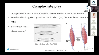 Martino Franchi: Muscle Architecture and its functional impact: Theory & Practice