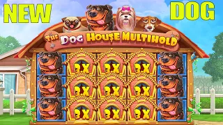 THE DOG HOUSE MULTIHOLD - BONUS BUY BIG CASINO WIN