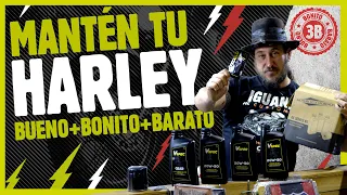 ¡MANTÉN tu Harley como NUEVA! Descubre los Packs de Servicio a PRECIOS Increíbles 🏍️ | ¡Promoción 👀!