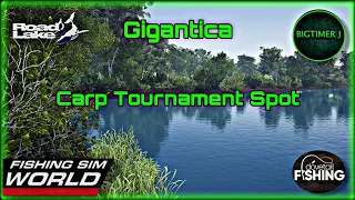 Gigantica Road Lake - Carp Tournament Spot - Fishing Sim World 🎣