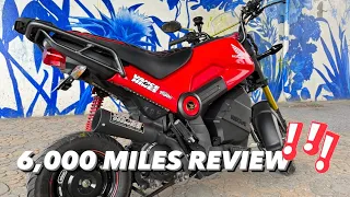 2022 Honda Navi 6,000 Miles Review! Falling Apart?!?!