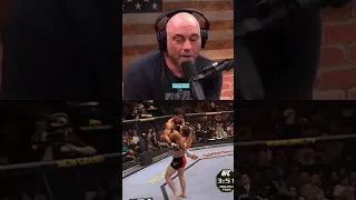 Joe rogan on matt hughes vs carlos newton double knockout.