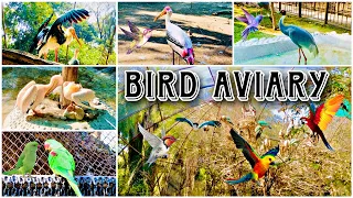 Chhatbir Zoo Chandigarh Bird Aviary | Birds Park 2023 | Chandigarh Zoo, Chidiya Ghar | Tourist Place