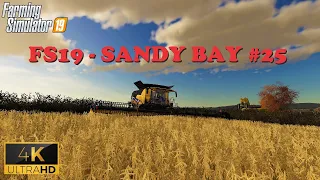 TMR MIXING & SOY BEANS - FS19 Sandy Bay farm #25