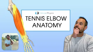 Tennis Elbow Anatomy | Expert Physio Review