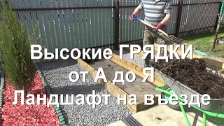 60. Высокие грядки от А до Я. Высаживаем правильно можжевельник (тую)