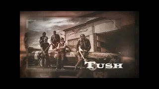 Tush (ZZ Top) - Cover by Deserted Horizon