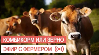 КОМБИКОРМ ДЛЯ ДОЙНЫХ КОРОВ. Животный корм.