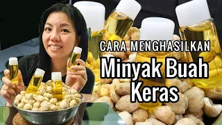 Cara menghasilkan minyak Buah Keras / Buah Kemiri / Candlenut Oil