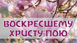 ВОСКРЕСШЕМУ ХРИСТУ ПОЮ - КРАСИВОЕ ПАСХАЛЬНОЕ ПЕНИЕ