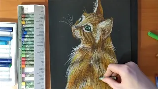 Рисуем кошку пастелью! Обзор бумаги для пастели. Draw a cat with pastels! Review of pastel paper.