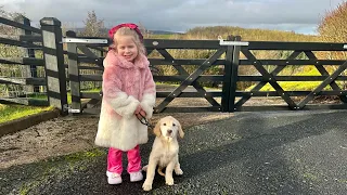 Adorable Little Girl Takes Puppy Golden Retriever On Their First Walk So Cute