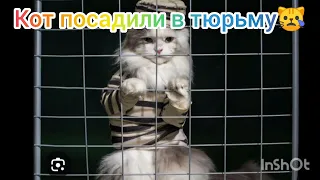 вор вискоса (котофильм 1) (котокино 2)