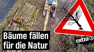 Realer Irrsinn: Guter Baum oder schlechter Baum? Ordnung schaffen in der Natur von Duisburg | extra