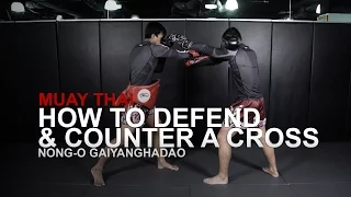 Muay Thai: 5 Ways To Defend And Counter A Cross | Evolve University