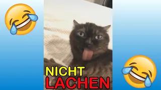 VERSUCHE NICHT ZU LACHEN !!! 🤣🤣🤣 #2