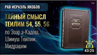 📖 Теилим 54 и 56 - Тайный Смысл  (Рав Исраэль Якобов)