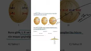 2022 TYT BİYOLOJİ MİTOZ MAYOZ SORUSU BARIŞ HOCA DOKTOR BİYOLOJİ