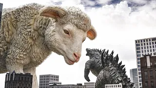 Giant Sheep Terrifies Godzilla