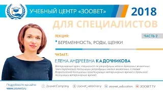 Е. А. Кадочникова в УЦ ЗООВЕТ | Беременность. Роды. Щенки. Часть 2/2