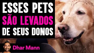 Esses Pets SÃO LEVADOS De Seus Donos | Dhar Mann