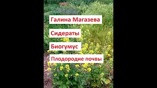 Сидераты  Биогумус  Плодородие почвы! Как получать хорошие урожаи!