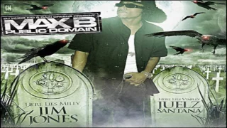 Max B - Public Domain 3 [FULL MIXTAPE + DOWNLOAD LINK] [2008]