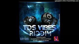 TERMINATOR - GARAI NENI[TDS VIBES RIDDIM]PROD BY CYMPLEX SOLID RECORDS(JUNE 2017)