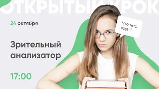 Зрительный анализатор в 17:00