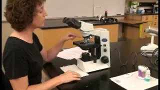 Microscope Tutorial - Detailed Version