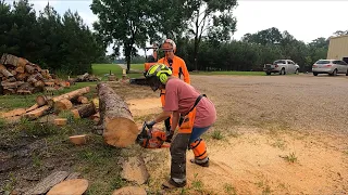 Ms Kandi running a chainsaw like a BOSS!