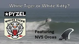 White Tiger or White Kitty?  Pyzel Surfboard Review