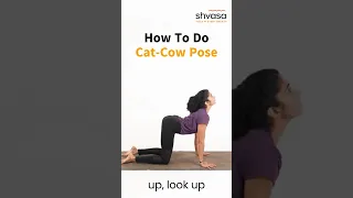 How to do Cat-Cow Pose #catcowpose #marjariasana