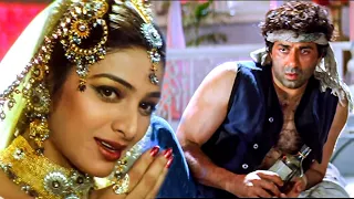 दिल का क्या करे साहेब  | Dil Ka Kya Kare Saheb | Jeet | Sunny Deol, Tabu | Kavita Krishnamurthy