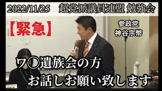 【参政党】神谷宗幣　2022年11月25日　超党派議員連盟　勉強会②  ワ遺族会　緊急動画　拡散希望　国会議員