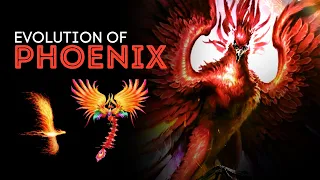The Complete Evolution of Phoenix