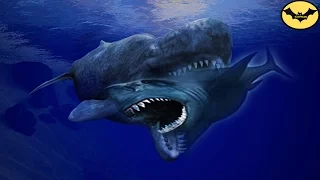 The 5 Most Terrifying Megalodon Enemies.