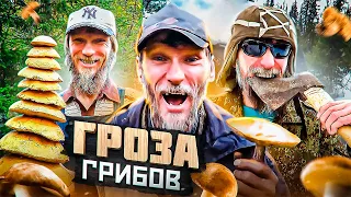 ГРИБАБАС И ЕГО СВЯТАЯ ПРОСТОТА (ГРОЗА ГРИБОВ) [ГЕРОИ НАШЕГО ВРЕМЕНИ #17]