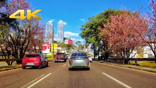 Curitiba PR | 4K BRASIL