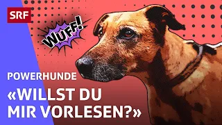 Leo: Helfer in der Schule | Powerhunde | SRF Kids – Kindervideos