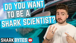 3 Things I WISH I Knew Before Becoming a SHARK SCIENTIST!