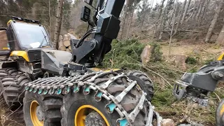 🌲 Bänder Montage und Käferholz Ernte 🌲