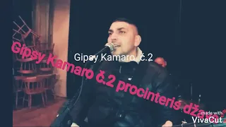 Gipsy Kamaro č.2 Procinteris džava