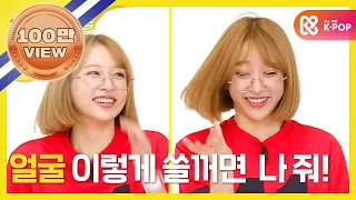 (ENG/JPN) [Weekly Idol] 적성 찾은 하니 바보369!! l EP.264