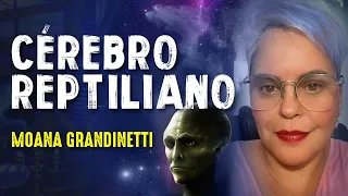 CÉREBRO REPTILI@NO - MOANA GRANDINETTI - Paranormal Experience! - #102