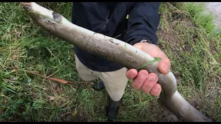 EEL FISHING | Catch and Cook | How to catch eels.