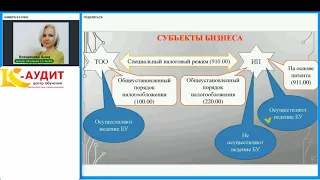 Формы налоговой отчетности 100 и 220 для СНР. Теория.